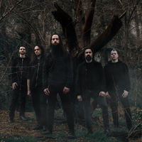 Shores Of Null