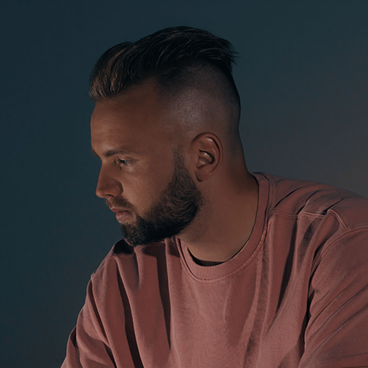 Artist picture of Topic