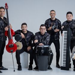 Salsa Power Band