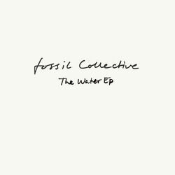 Picture of Fossil Collective