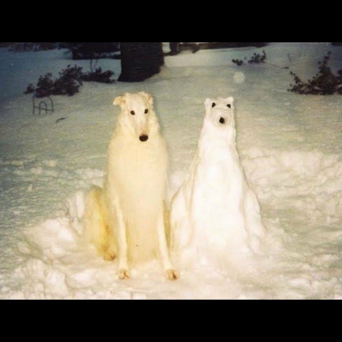 Artist picture of Birth Day