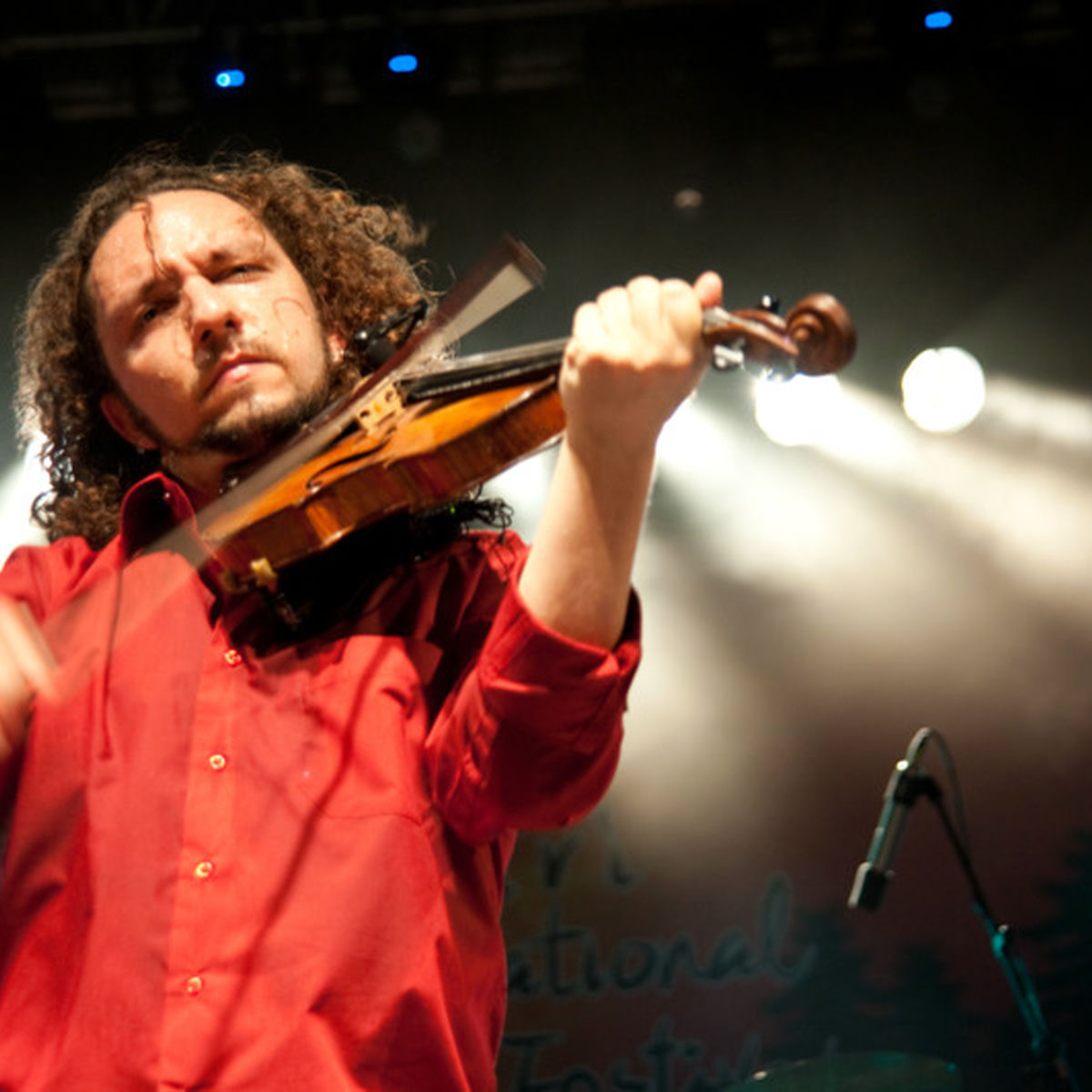 Artist picture of Ricardo Herz