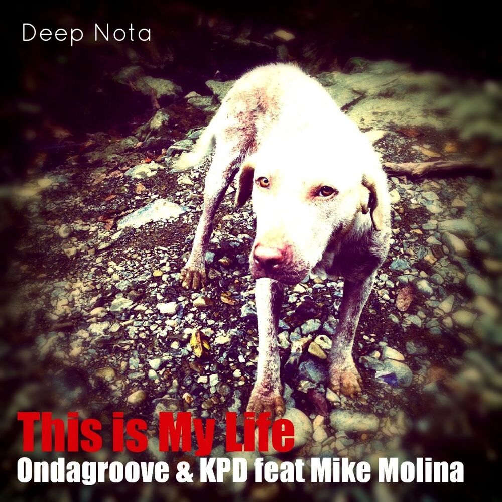 Picture of Ondagroove