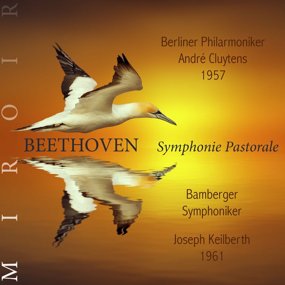 Picture of Berliner Philarmoniker