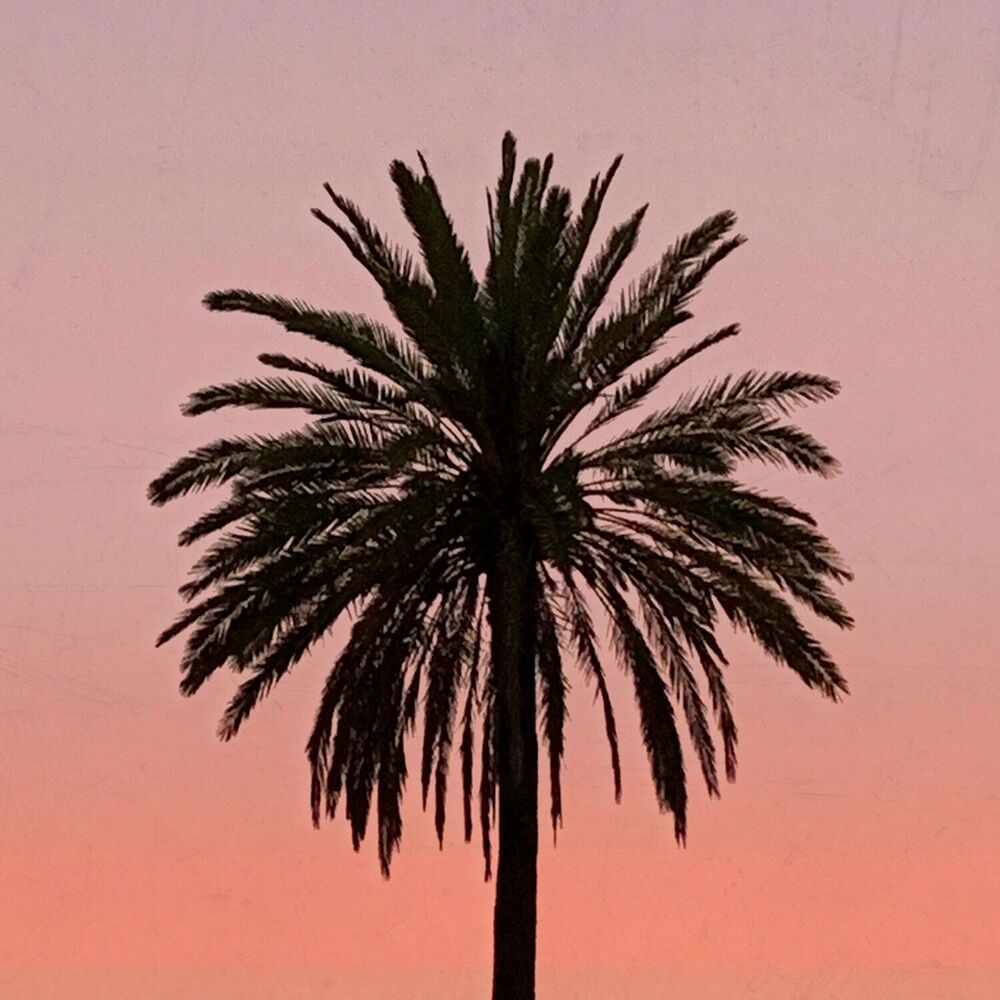 Picture of SUB-TRIBE