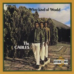 Picture of The Cables