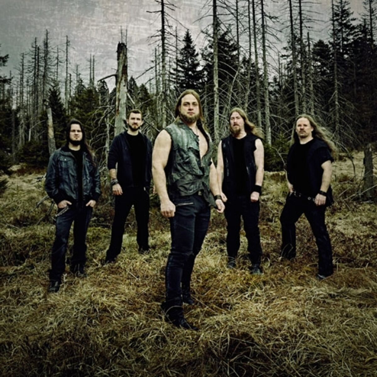 Artist picture of Asenblut