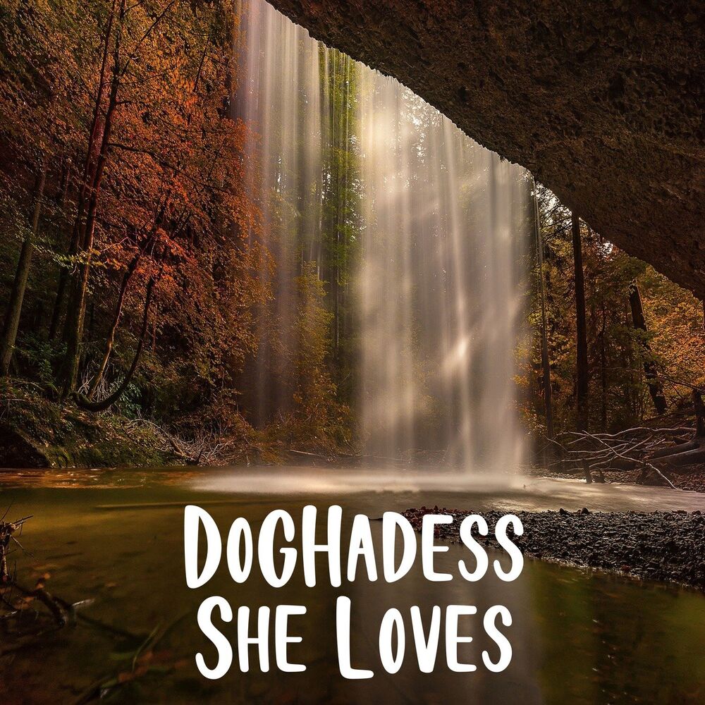 Picture of DogHadess