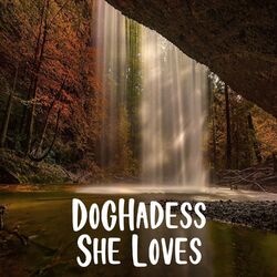 Picture of DogHadess