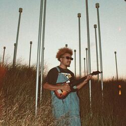 Picture of frank Sativa