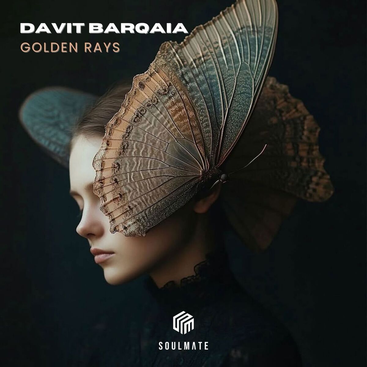 Davit Barqaia