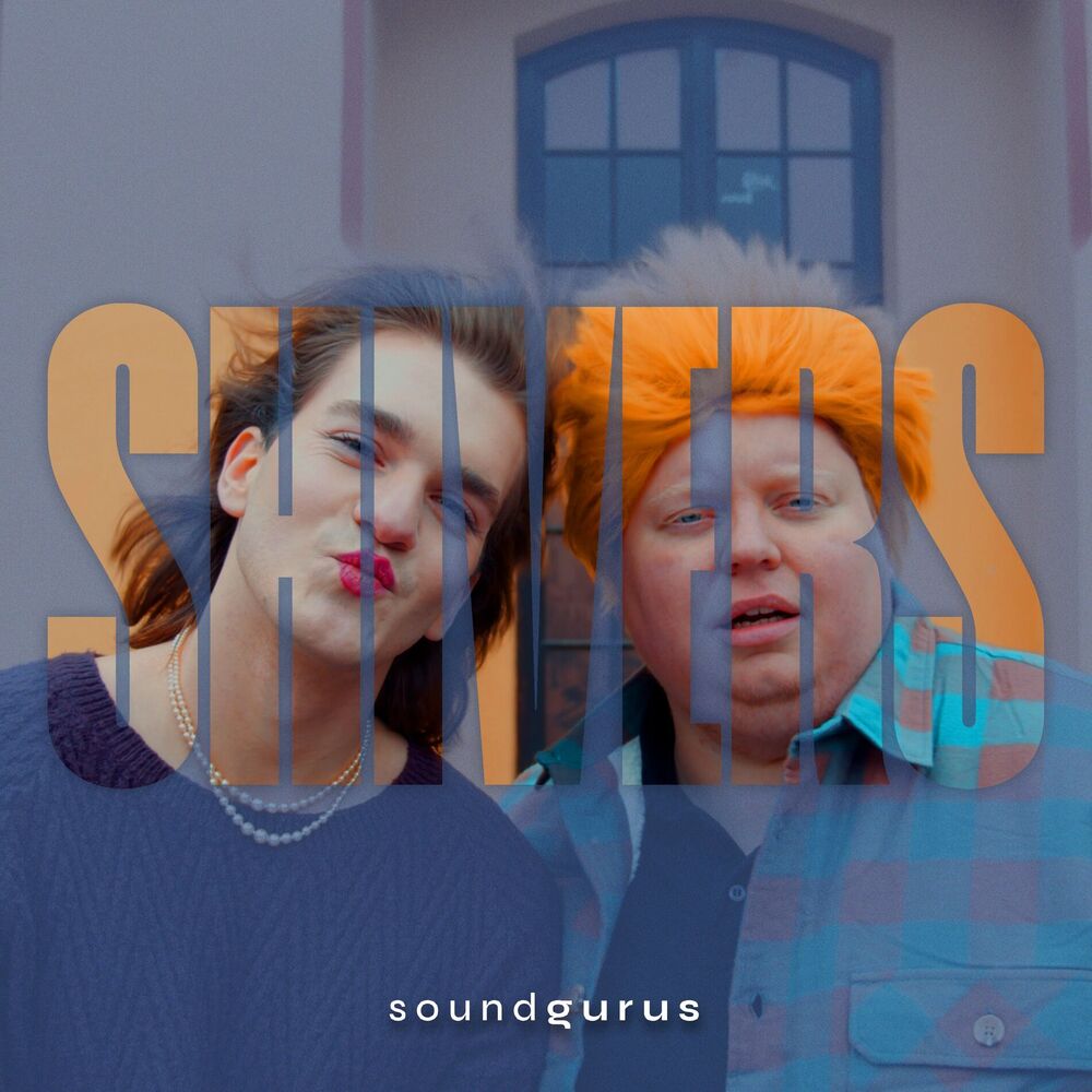 Picture of Sound Gurus
