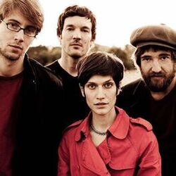 Picture of Alin Coen Band