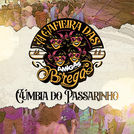 Banda Amigas do Brega