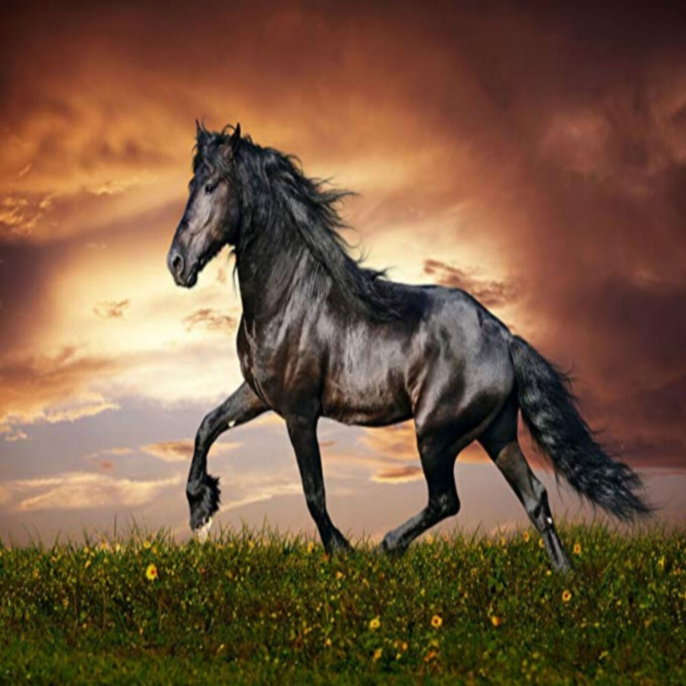 Picture of Ken'zii Bwa