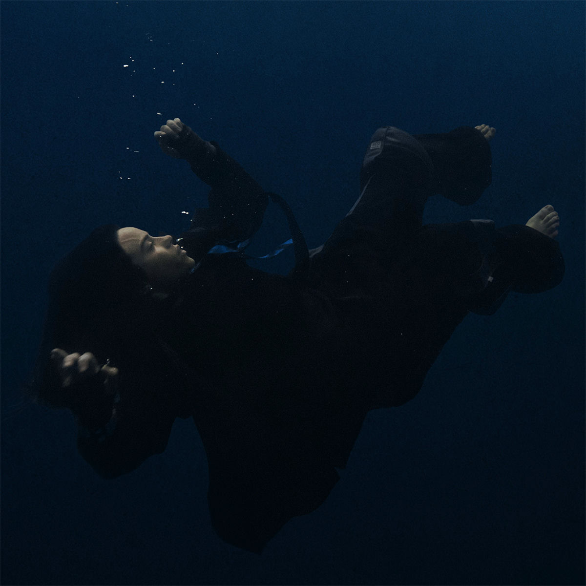 Artist picture of Billie Eilish