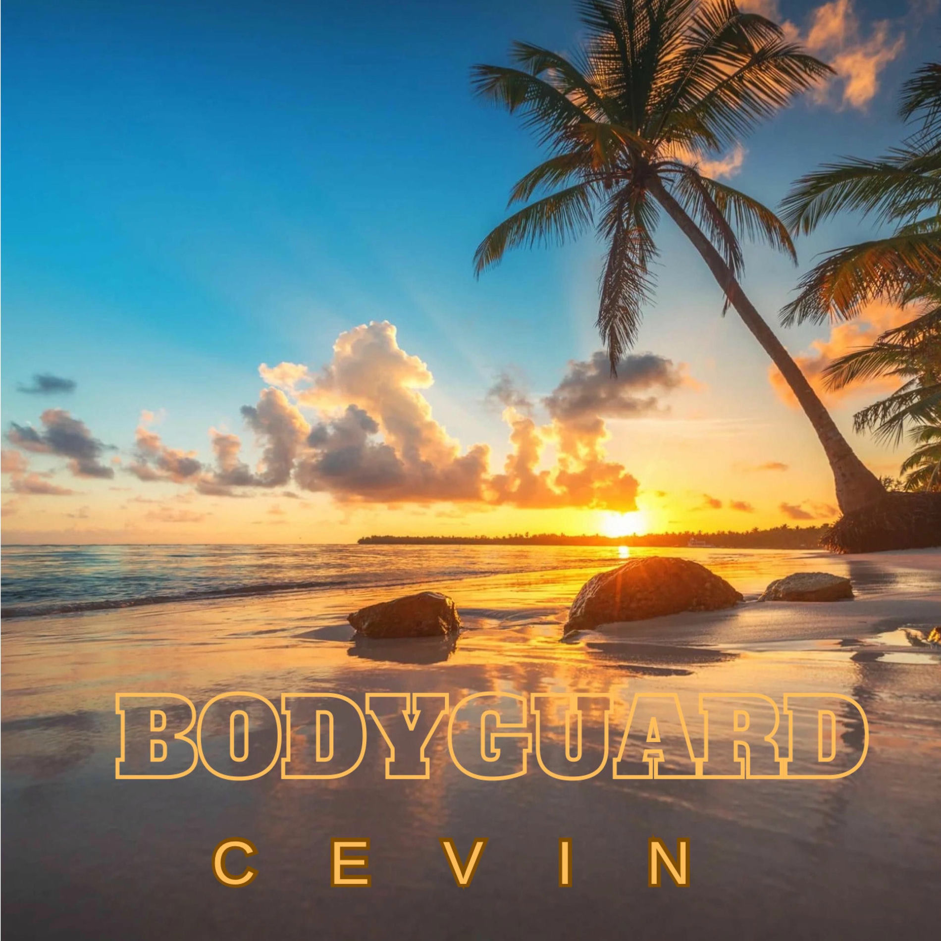 Cevin