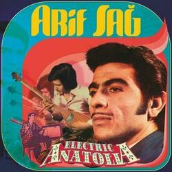 Picture of Arif Sag