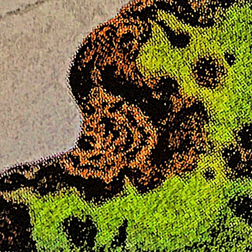 Picture of The Slaps