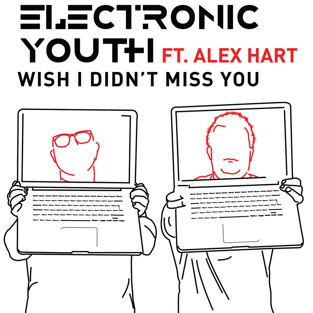 Picture of Electronic Youth
