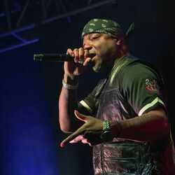 Picture of Spice 1