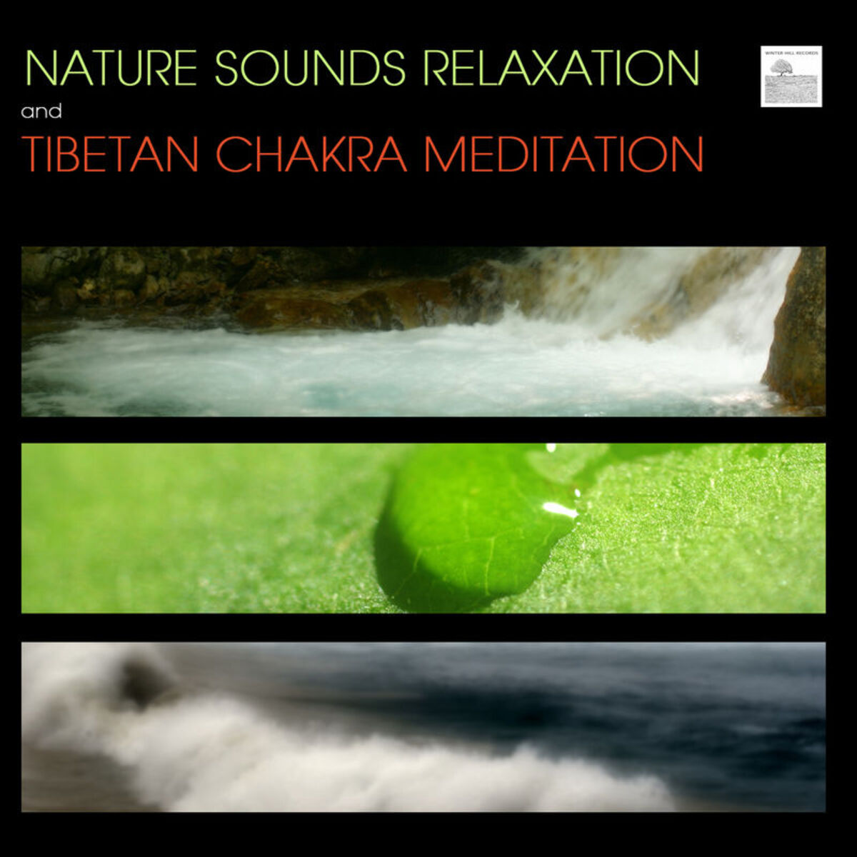 Artist picture of Sounds of Nature White Noise for Mindfulness Meditation and Relaxation