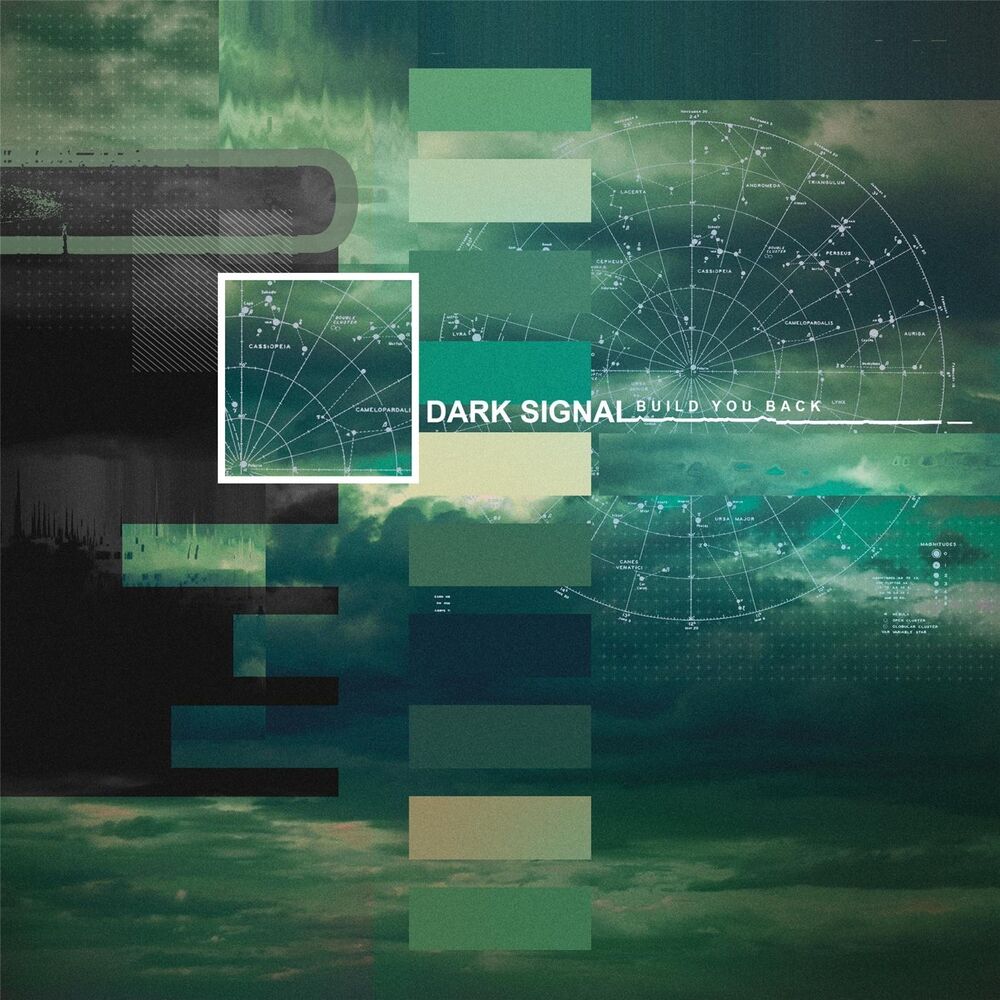 Picture of Dark Signal