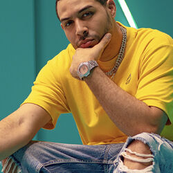 Picture of Dawin