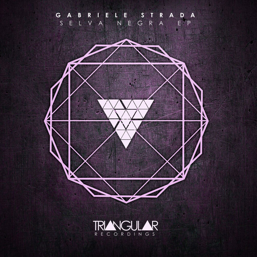 Picture of Gabriele Strada