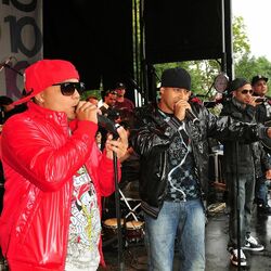 Picture of Bachata Heightz