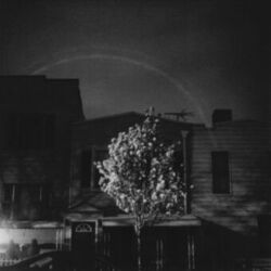 Picture of Open City