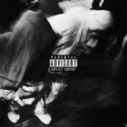 Picture of Lil Moshpit