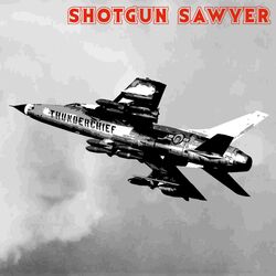Picture of Shotgun Sawyer