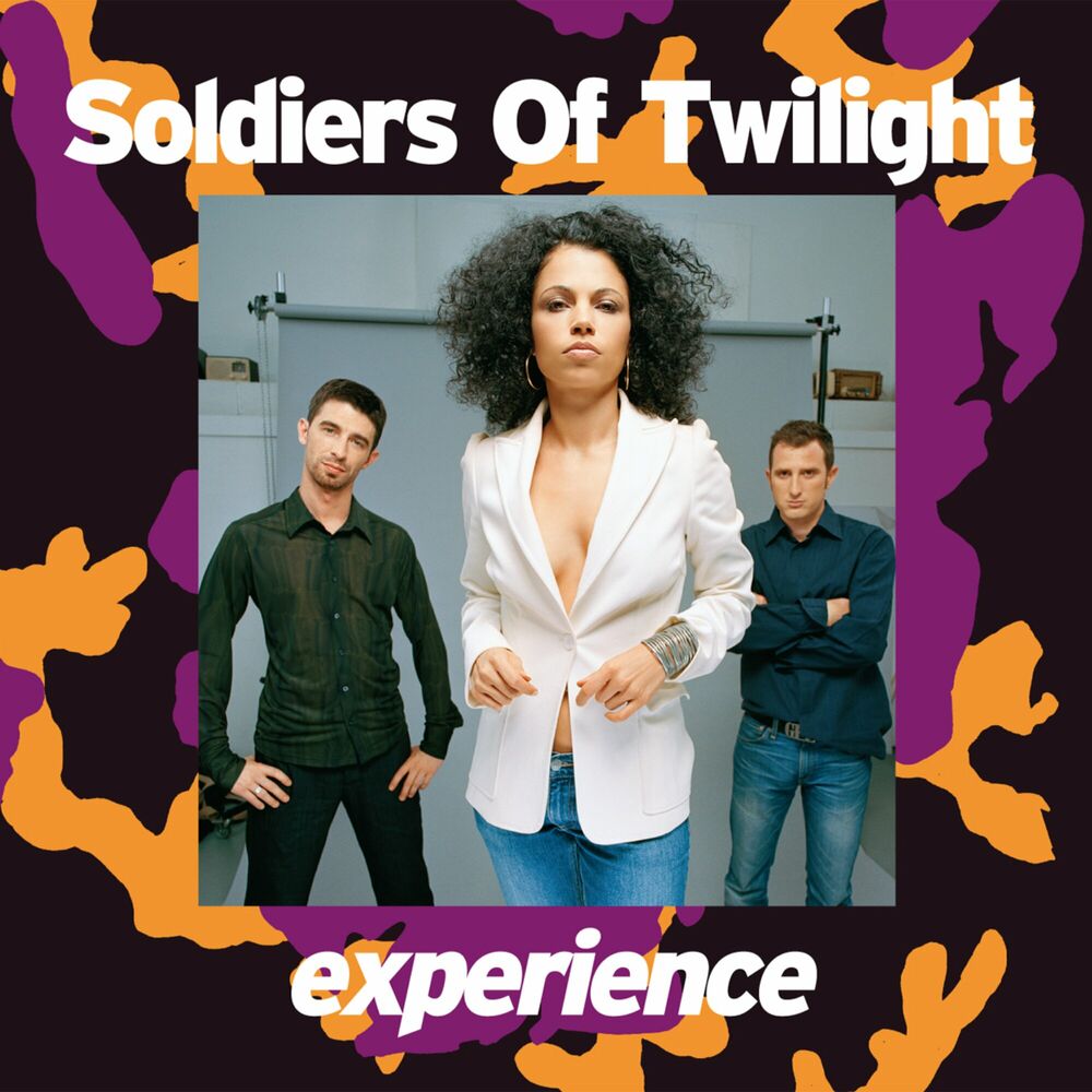 Picture of Soldiers of Twilight