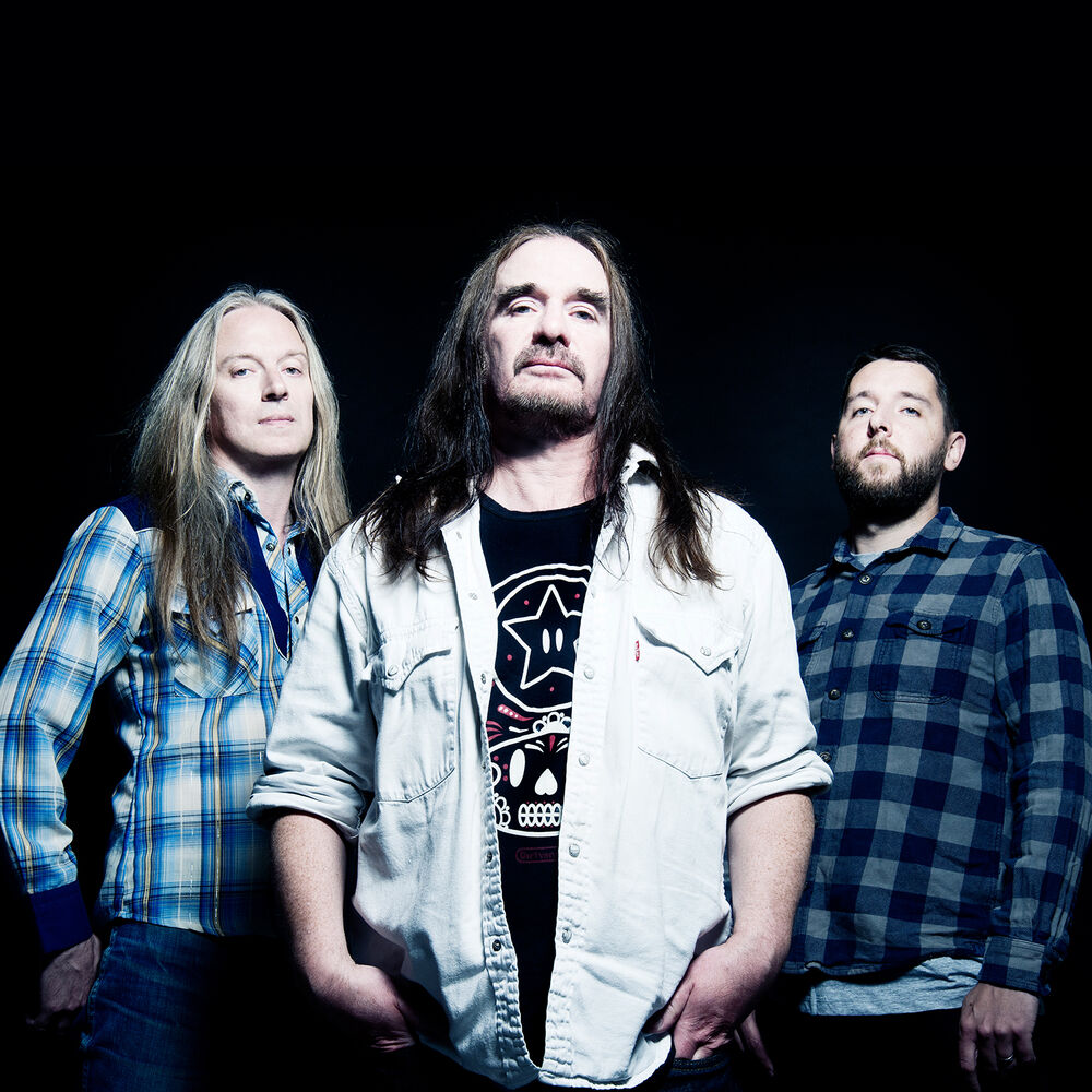 Picture of Carcass