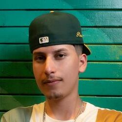 Picture of Picassoo