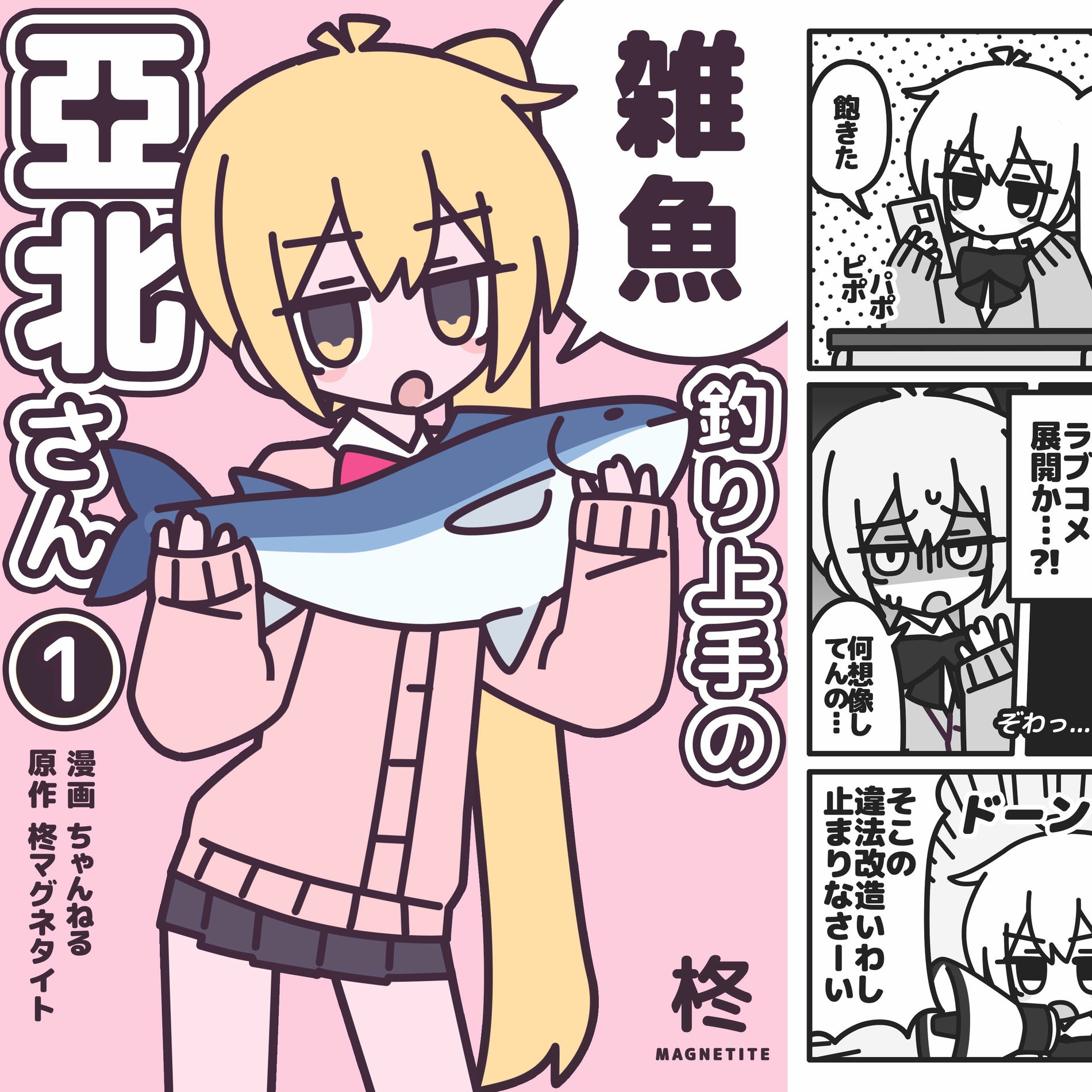 Hiiragi Magnetite