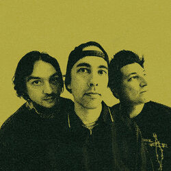 Picture of Pierce the Veil