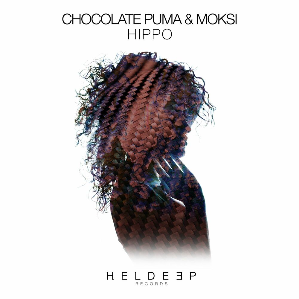 Picture of Chocolate Puma