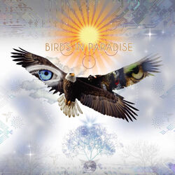 Picture of Bird Tribe