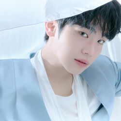 Picture of KIM TAE RAE