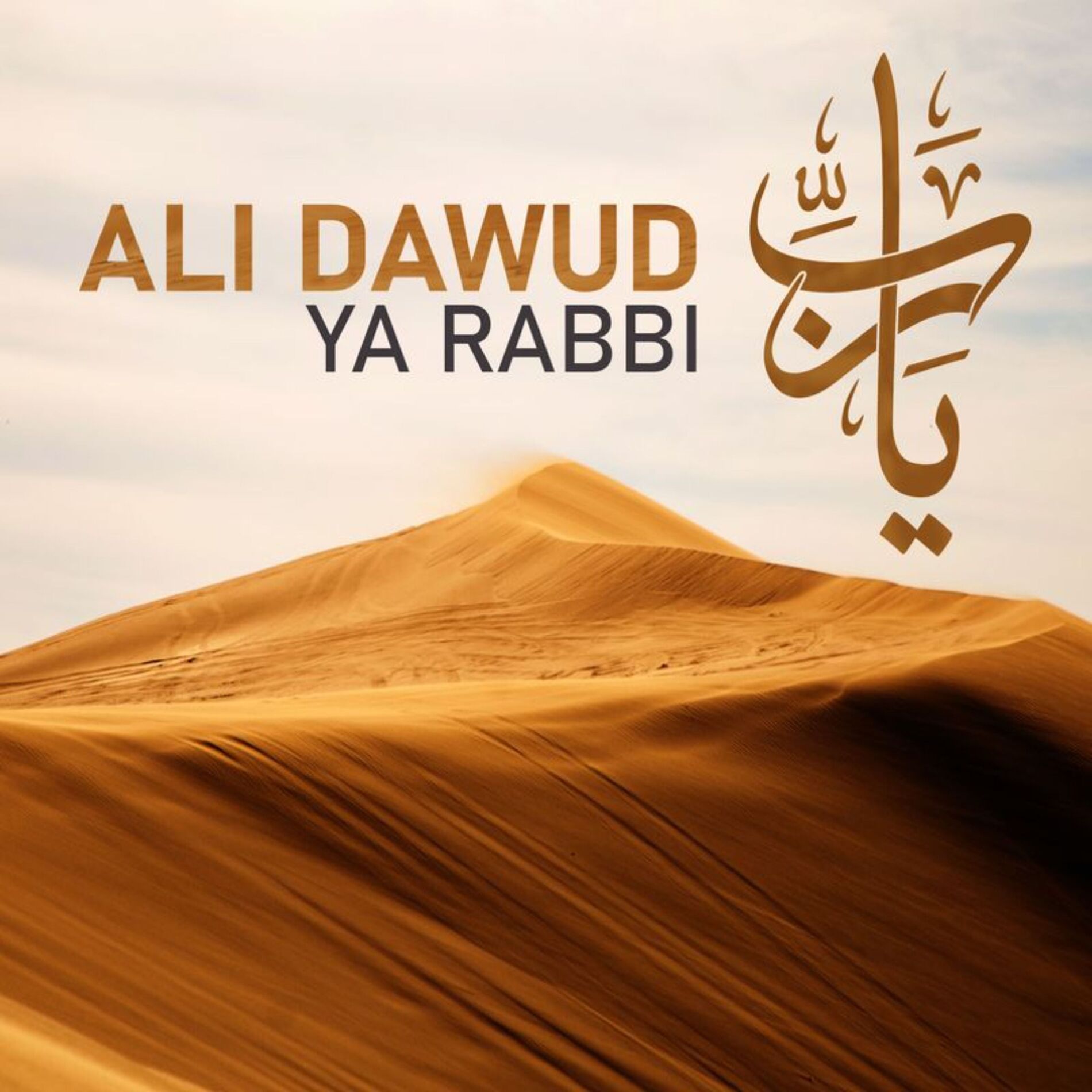 Ali Dawud
