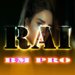 Picture of Bm pro
