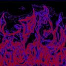 Nihilist
