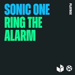 Picture of Sonic One