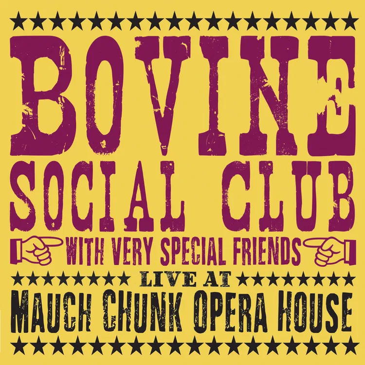Bovine Social Club