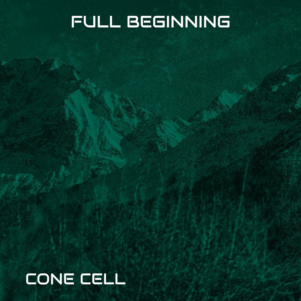 Picture of Cone Cell