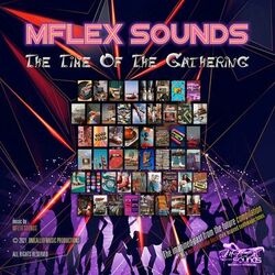 Picture of Mflex Sounds