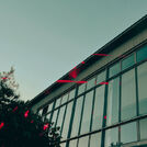 Wolke 8
