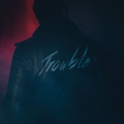 Picture of Trouble